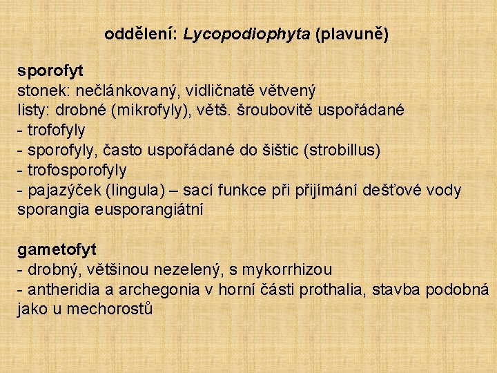 oddělení: Lycopodiophyta (plavuně) sporofyt stonek: nečlánkovaný, vidličnatě větvený listy: drobné (mikrofyly), větš. šroubovitě uspořádané