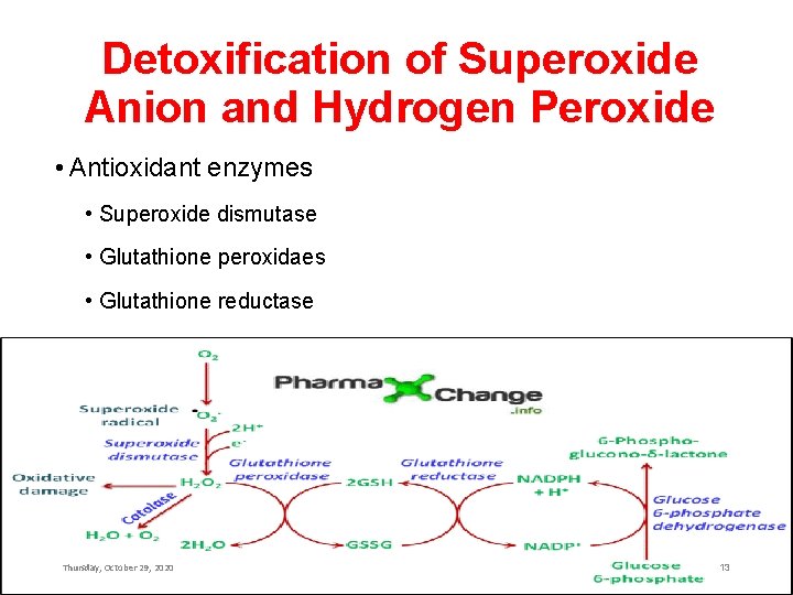 Detoxification of Superoxide Anion and Hydrogen Peroxide • Antioxidant enzymes • Superoxide dismutase •