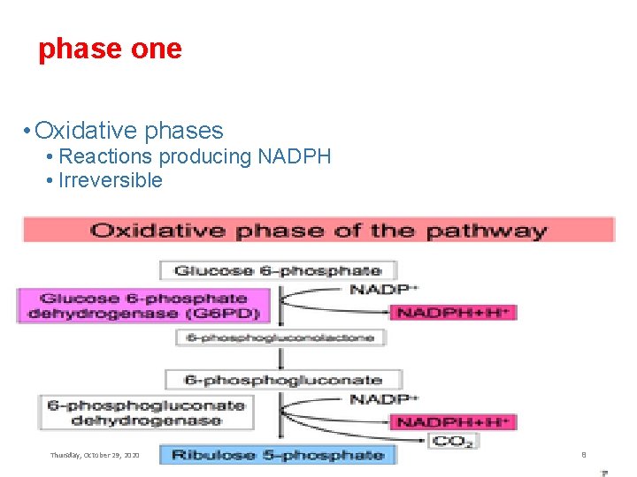 phase one • Oxidative phases • Reactions producing NADPH • Irreversible Thursday, October 29,