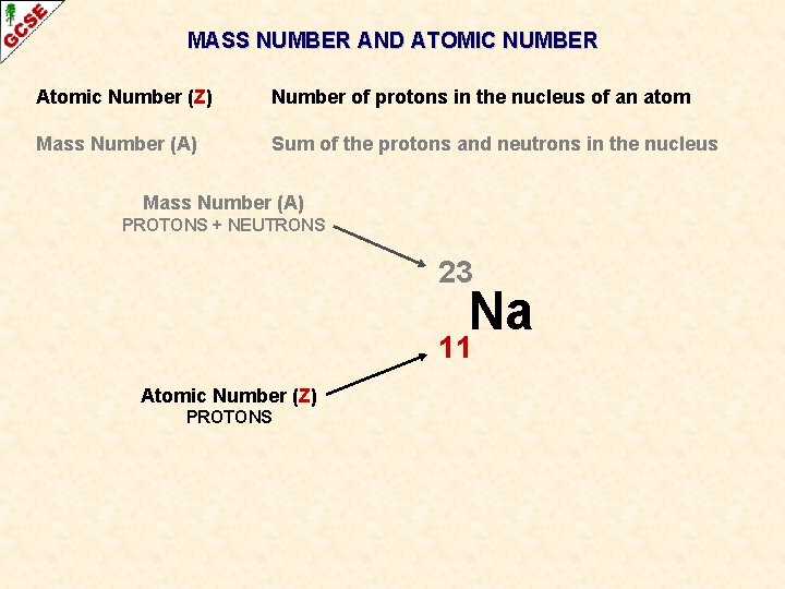 MASS NUMBER AND ATOMIC NUMBER Atomic Number (Z) Number of protons in the nucleus