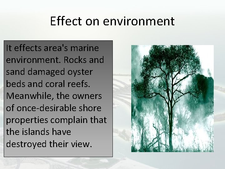 Effect on environment It effects area's marine environment. Rocks and sand damaged oyster beds