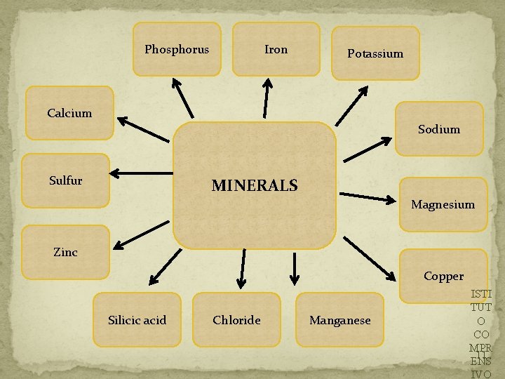 Phosphorus Iron Potassium Calcium Sodium Sulfur MINERALS Magnesium Zinc Copper Silicic acid Chloride Manganese