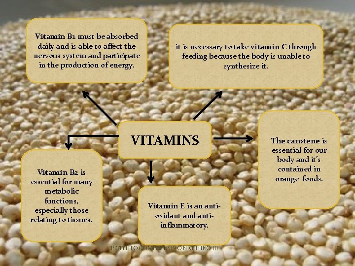 Vitamin B 1 must be absorbed daily and is able to affect the nervous