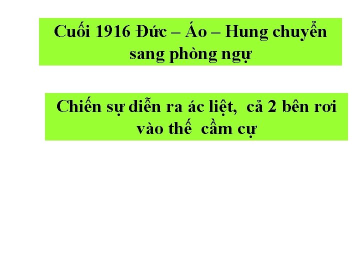 Cuối 1916 Đức – Áo – Hung chuyển sang phòng ngự Chiến sự diễn