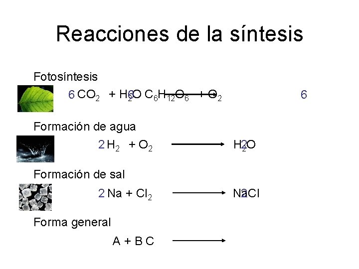 Reacciones de la síntesis Fotosíntesis 6 CO 2 + H 6 2 O C