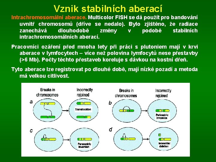 Vznik stabilních aberací Intrachromosomální aberace. Multicolor FISH se dá použít pro bandování uvnitř chromosomů