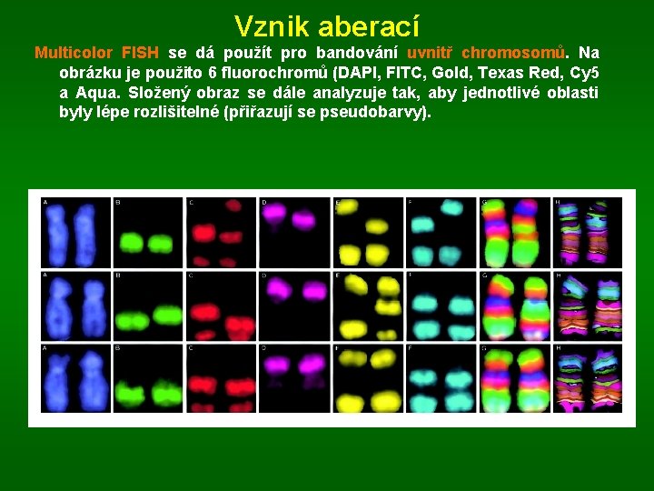 Vznik aberací Multicolor FISH se dá použít pro bandování uvnitř chromosomů. Na obrázku je