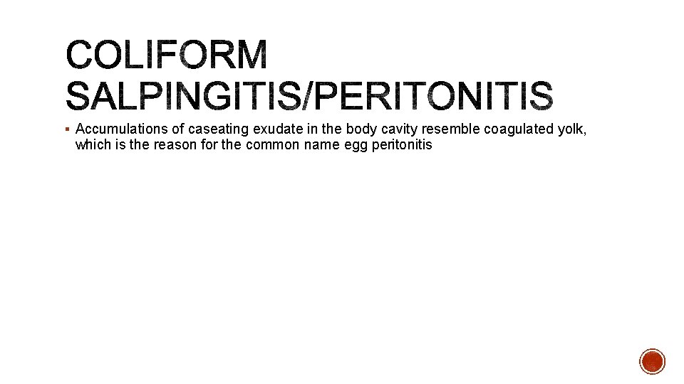 § Accumulations of caseating exudate in the body cavity resemble coagulated yolk, which is