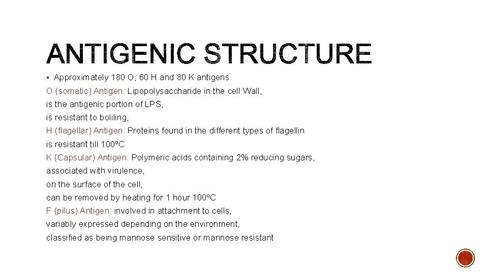 § Approximately 180 O, 60 H and 80 K antigens O (somatic) Antigen: Lipopolysaccharide