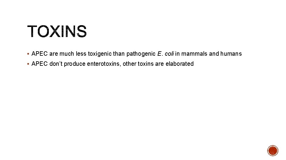 § APEC are much less toxigenic than pathogenic E. coli in mammals and humans