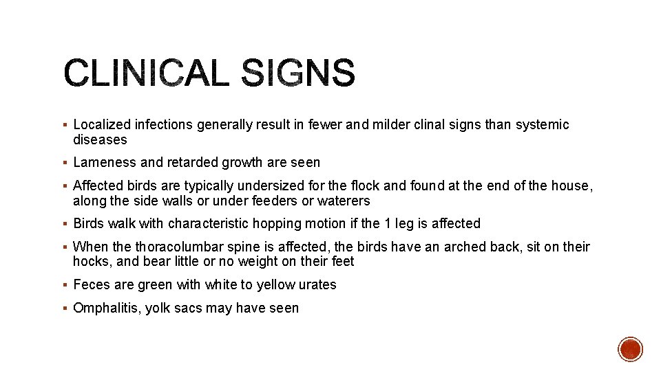 § Localized infections generally result in fewer and milder clinal signs than systemic diseases
