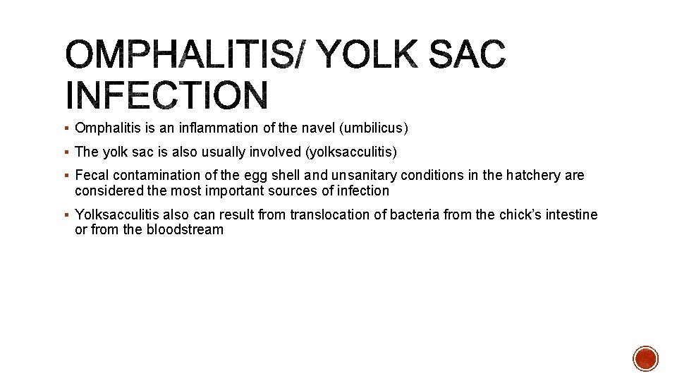 § Omphalitis is an inflammation of the navel (umbilicus) § The yolk sac is