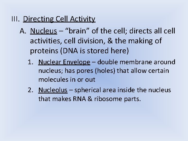 III. Directing Cell Activity A. Nucleus – “brain” of the cell; directs all cell III. Directing Cell Activity A. Nucleus – “brain” of the cell; directs all cell
