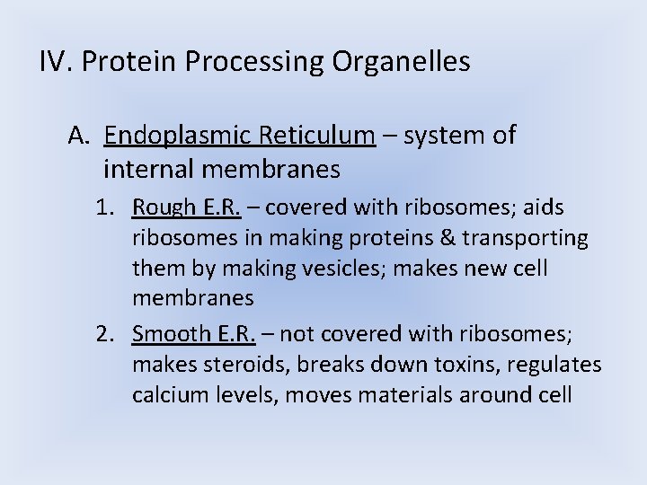IV. Protein Processing Organelles A. Endoplasmic Reticulum – system of internal membranes 1. Rough IV. Protein Processing Organelles A. Endoplasmic Reticulum – system of internal membranes 1. Rough