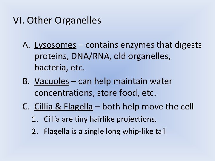 VI. Other Organelles A. Lysosomes – contains enzymes that digests proteins, DNA/RNA, old organelles, VI. Other Organelles A. Lysosomes – contains enzymes that digests proteins, DNA/RNA, old organelles,