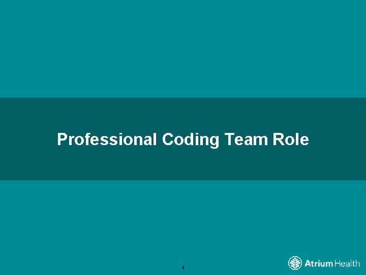 Professional Coding Team Role 6 