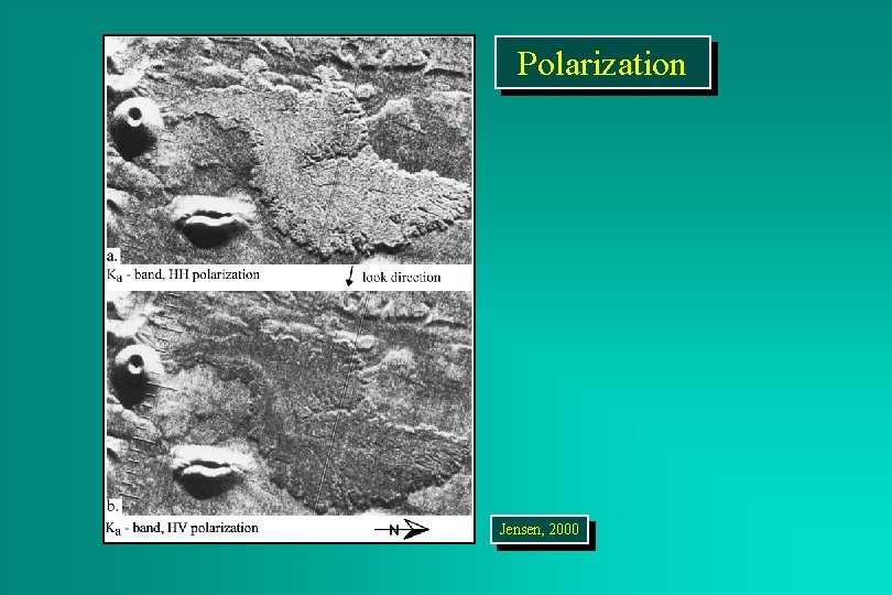 Polarization Jensen, 2000 