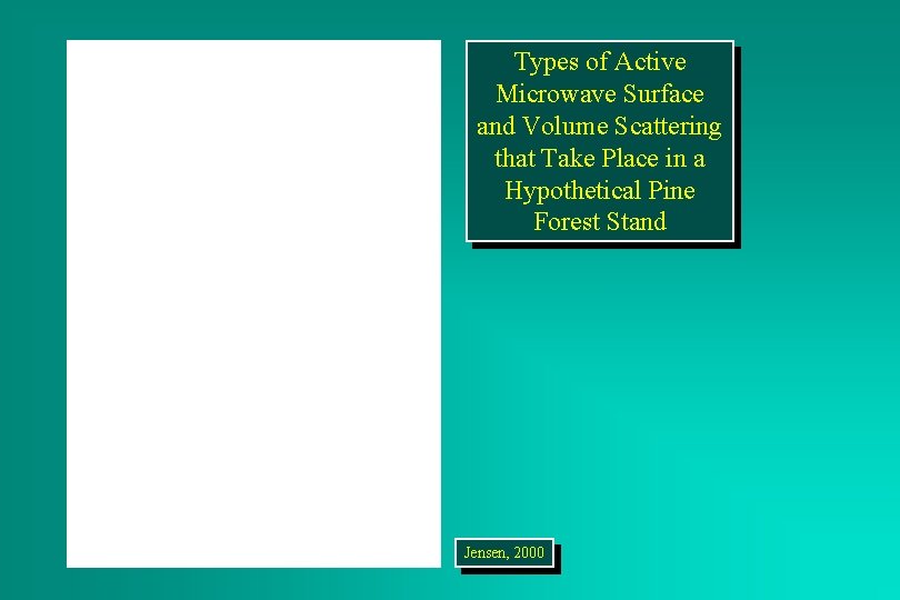 Types of Active Microwave Surface and Volume Scattering that Take Place in a Hypothetical