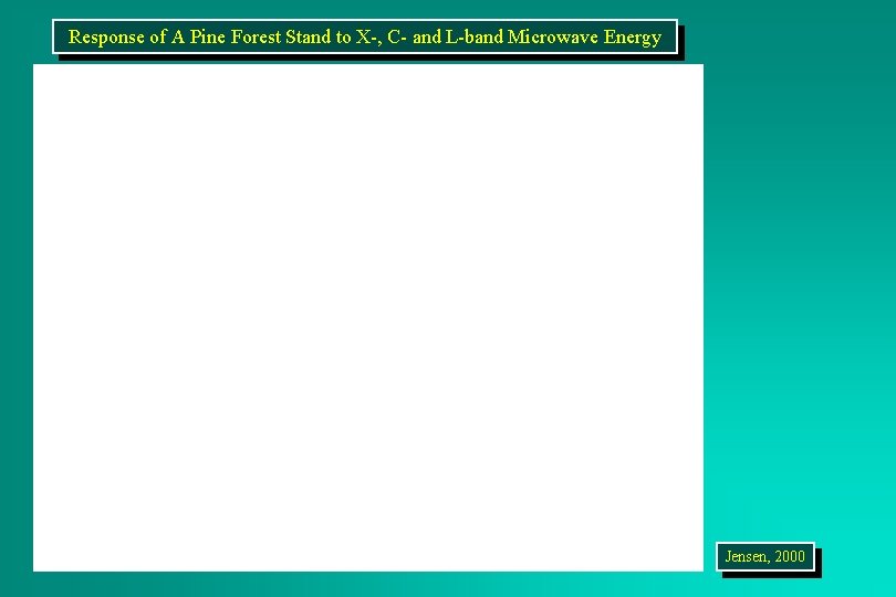 Response of A Pine Forest Stand to X-, C- and L-band Microwave Energy Jensen,