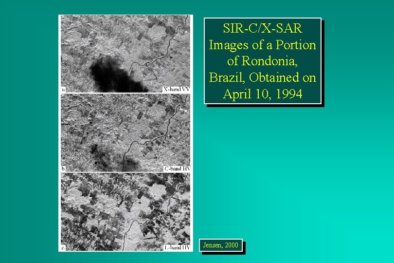 SIR-C/X-SAR Images of a Portion of Rondonia, Brazil, Obtained on April 10, 1994 Jensen,