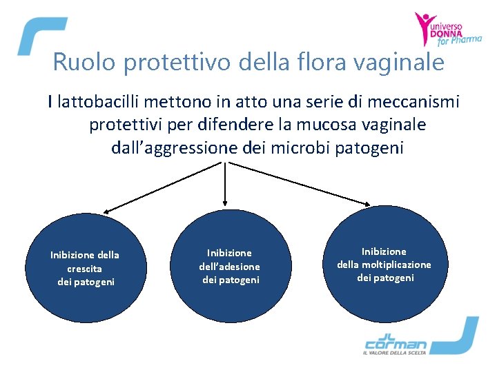 Ruolo protettivo della flora vaginale I lattobacilli mettono in atto una serie di meccanismi