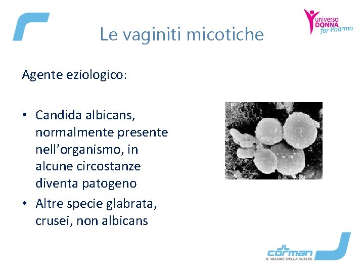 Le vaginiti micotiche Agente eziologico: • Candida albicans, normalmente presente nell’organismo, in alcune circostanze