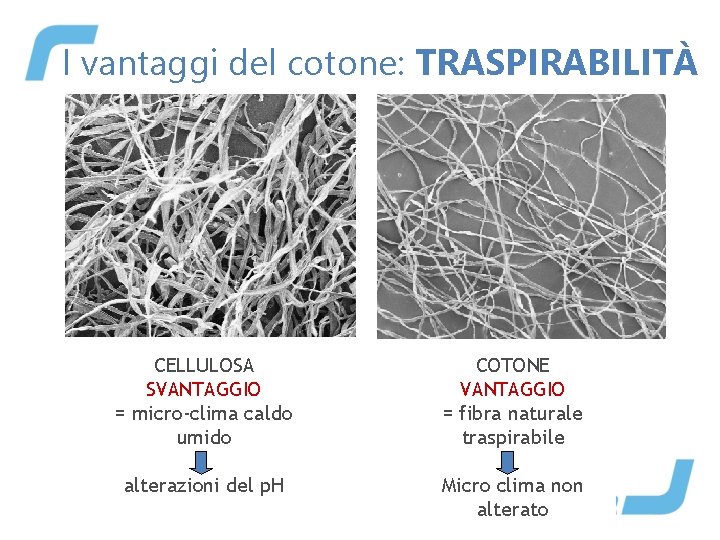 I vantaggi del cotone: TRASPIRABILITÀ CELLULOSA SVANTAGGIO = micro-clima caldo umido COTONE VANTAGGIO =