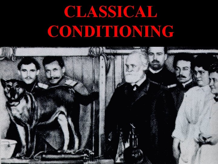 CLASSICAL CONDITIONING 