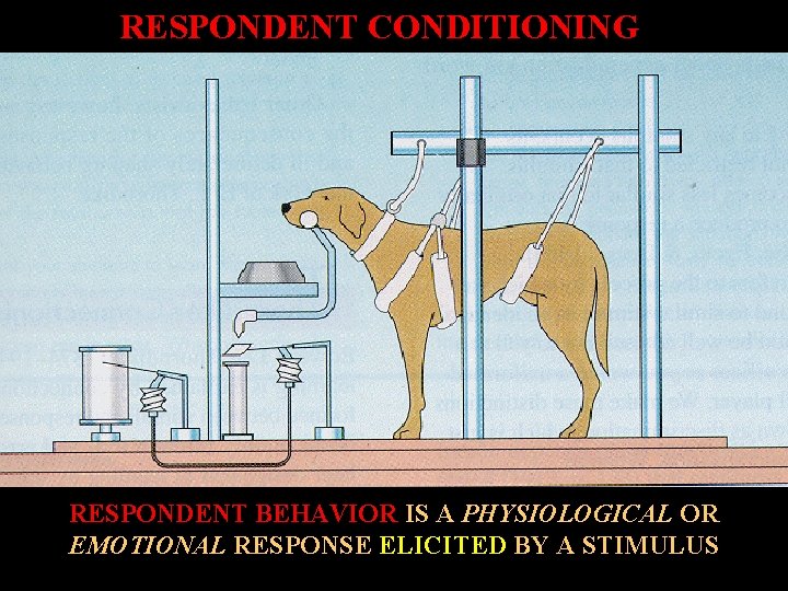 RESPONDENT CONDITIONING RESPONDENT BEHAVIOR IS A PHYSIOLOGICAL OR EMOTIONAL RESPONSE ELICITED BY A STIMULUS