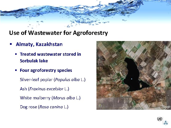 Use of Wastewater for Agroforestry § Almaty, Kazakhstan § Treated wastewater stored in Sorbulak