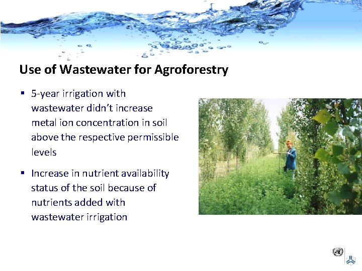 Use of Wastewater for Agroforestry § 5 -year irrigation with wastewater didn’t increase metal