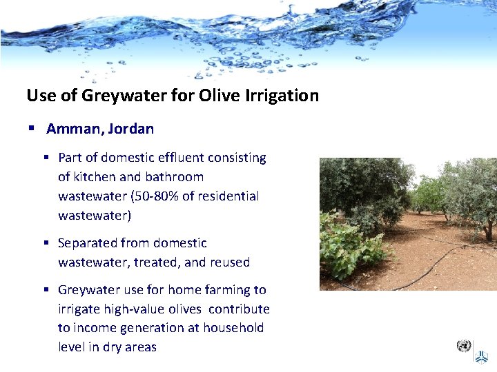 Use of Greywater for Olive Irrigation § Amman, Jordan § Part of domestic effluent