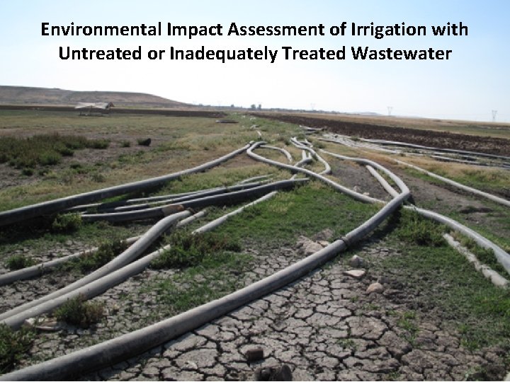 Environmental Impact Assessment of Irrigation with Untreated or Inadequately Treated Wastewater 