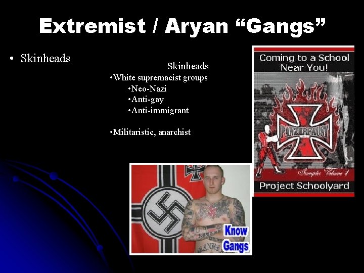 Extremist / Aryan “Gangs” • Skinheads • White supremacist groups • Neo-Nazi • Anti-gay