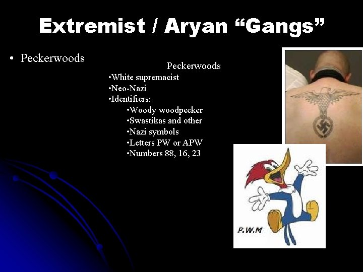 Extremist / Aryan “Gangs” • Peckerwoods • White supremacist • Neo-Nazi • Identifiers: •