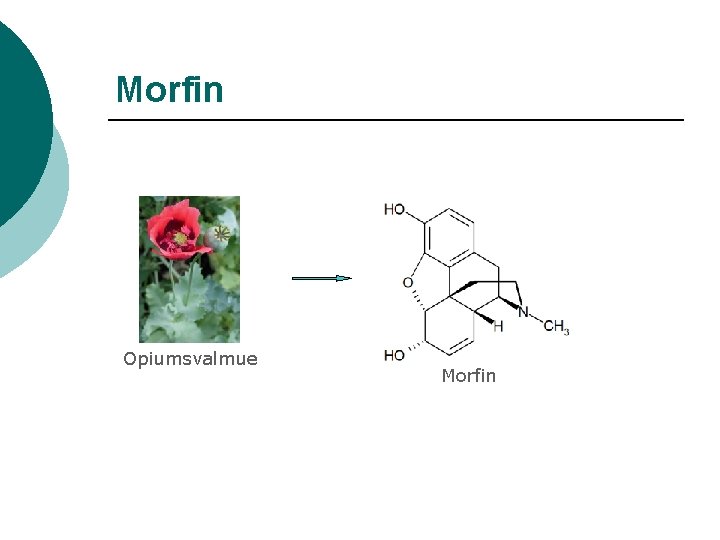 Morfin Opiumsvalmue Morfin 