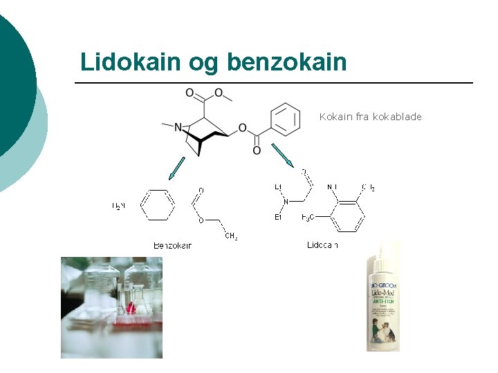 Lidokain og benzokain Kokain fra kokablade 