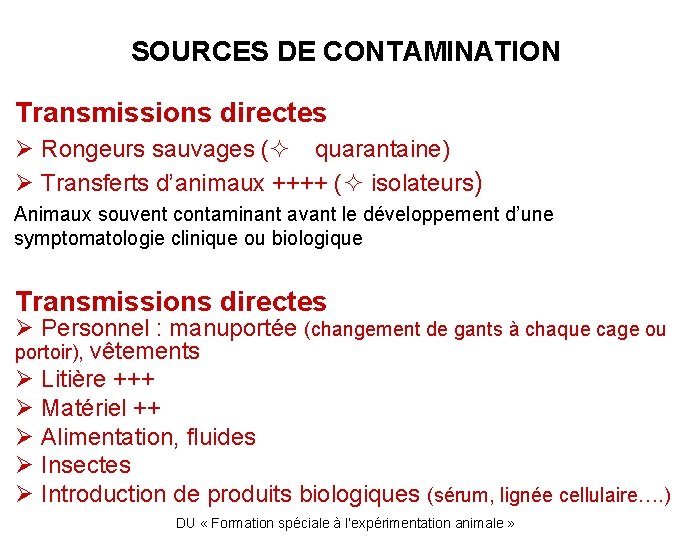 SOURCES DE CONTAMINATION Transmissions directes Ø Rongeurs sauvages ( quarantaine) Ø Transferts d’animaux ++++