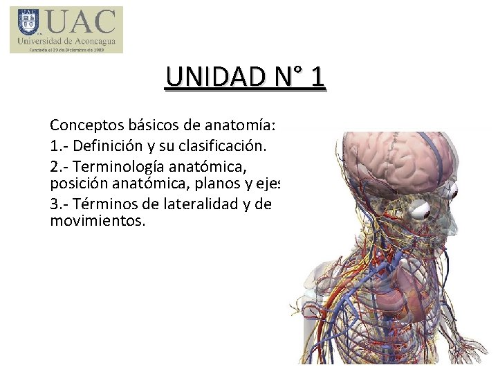 UNIDAD N° 1 Conceptos básicos de anatomía: 1. - Definición y su clasificación. 2.