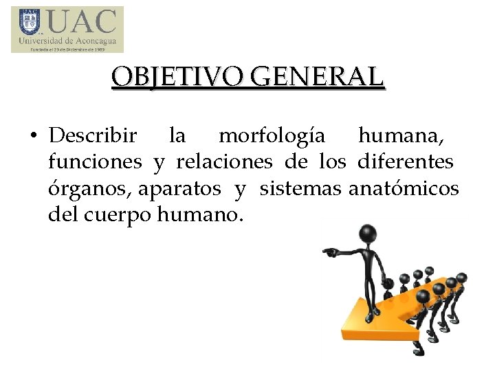 OBJETIVO GENERAL • Describir la morfología humana, funciones y relaciones de los diferentes órganos,