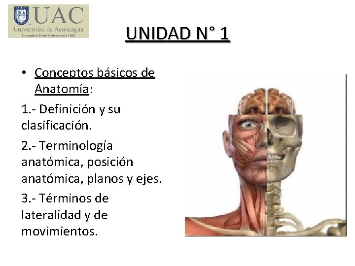 UNIDAD N° 1 • Conceptos básicos de Anatomía: 1. - Definición y su clasificación.