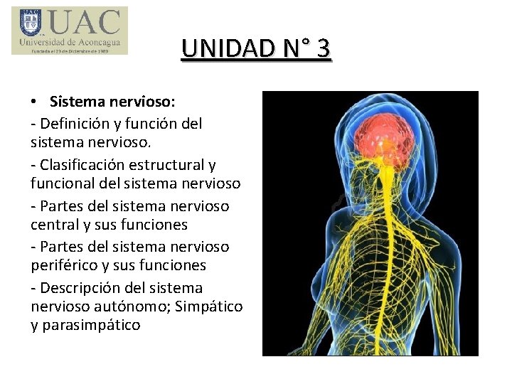 UNIDAD N° 3 • Sistema nervioso: - Definición y función del sistema nervioso. -
