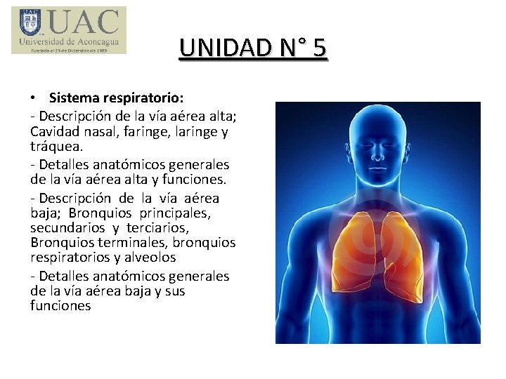 UNIDAD N° 5 • Sistema respiratorio: - Descripción de la vía aérea alta; Cavidad