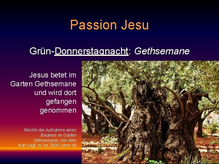 Passion Jesu Grün-Donnerstagnacht: Gethsemane Jesus betet im Garten Gethsemane und wird dort gefangen genommen