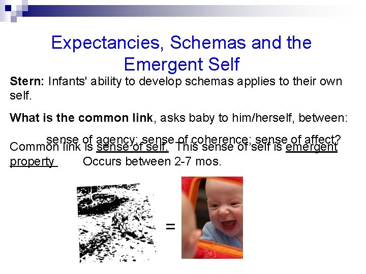 Expectancies, Schemas and the Emergent Self Stern: Infants' ability to develop schemas applies to