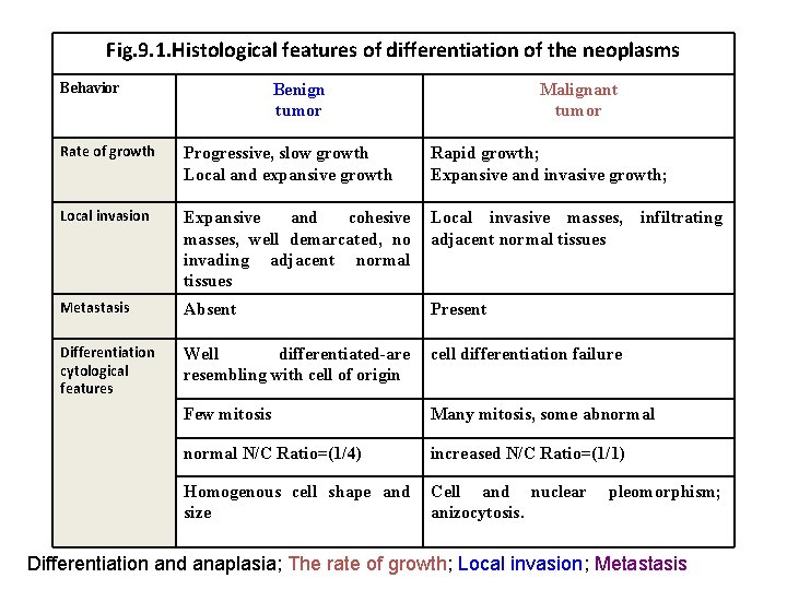 Fig. 9. 1. Histological features of differentiation of the neoplasms Behavior Benign tumor Malignant