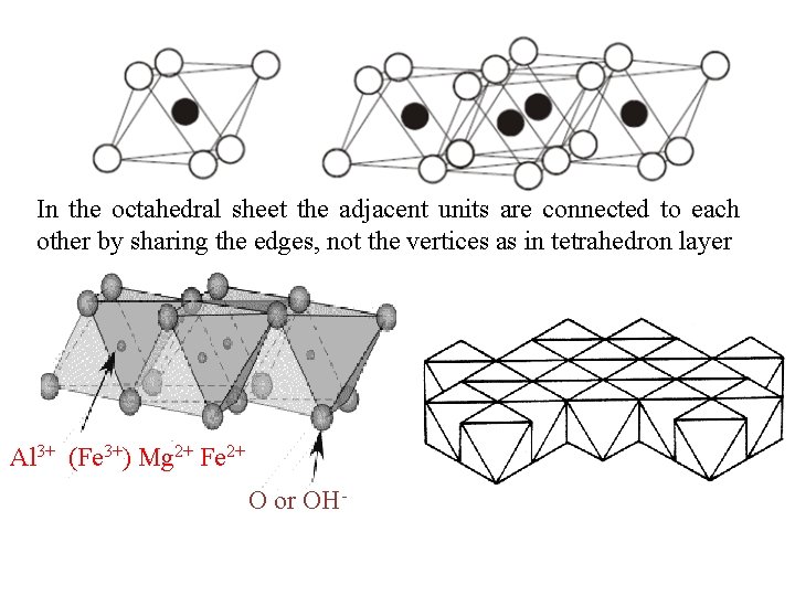 In the octahedral sheet the adjacent units are connected to each other by sharing