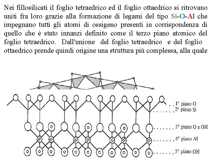 Nei fillosilicati il foglio tetraedrico ed il foglio ottaedrico si ritrovano uniti fra loro