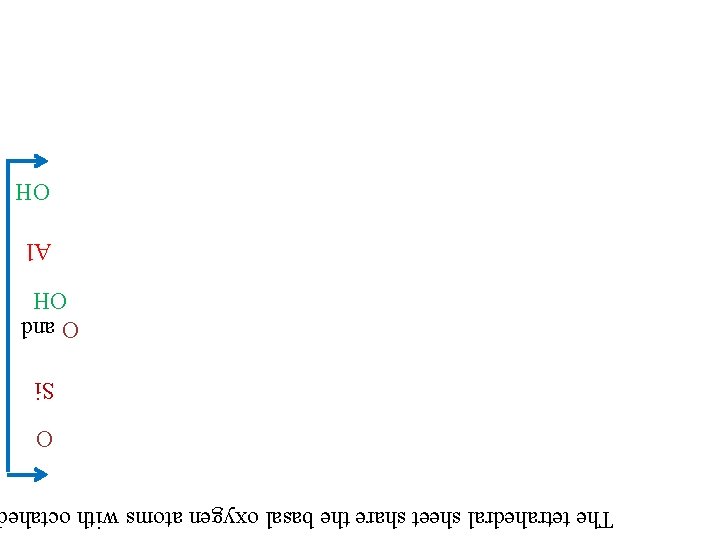 The tetrahedral sheet share the basal oxygen atoms with octahe O Si O and The tetrahedral sheet share the basal oxygen atoms with octahe O Si O and
