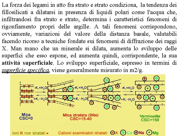 La forza dei legami in atto fra strato e strato condiziona, la tendenza dei